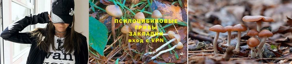 гидропоника Армянск