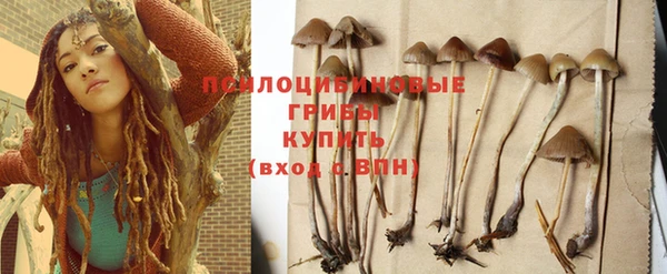 стафф Аркадак
