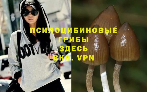 экстази Осташков