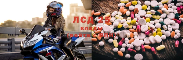стафф Аркадак