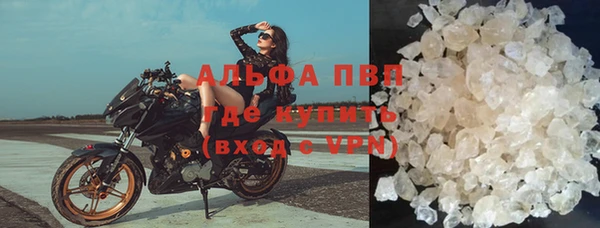 стафф Аркадак