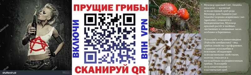 Псилоцибиновые грибы GOLDEN TEACHER  Талдом 
