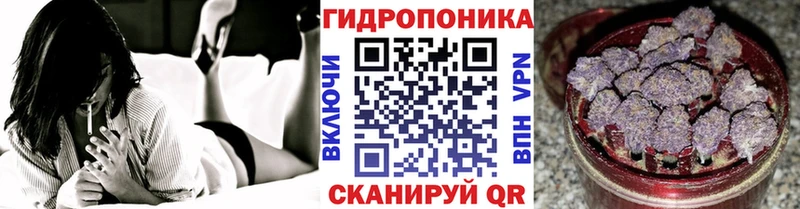 Шишки марихуана семена  купить наркотик  Талдом 